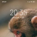 ���� ����, �����, 83 ���� - ��������� 24 ������ 2023 � ������ ���� ����������