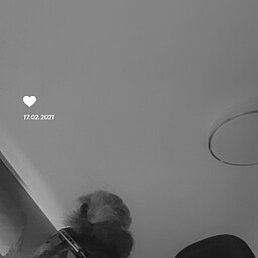 Herdi, ���������, 41 ���