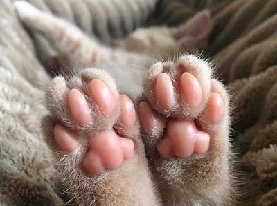 �������� ���� - 2