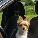 ���� Wiki Valentina, �������, 76 ��� - ��������� 6 ���� 2025 � ������ ���� ����������