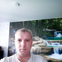  , 51, 