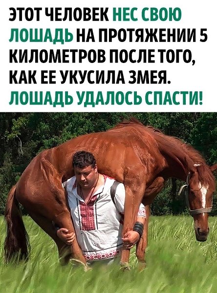 �������� ����� �����������
