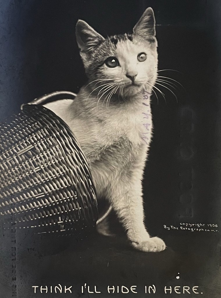    .       :  , , ... - 2