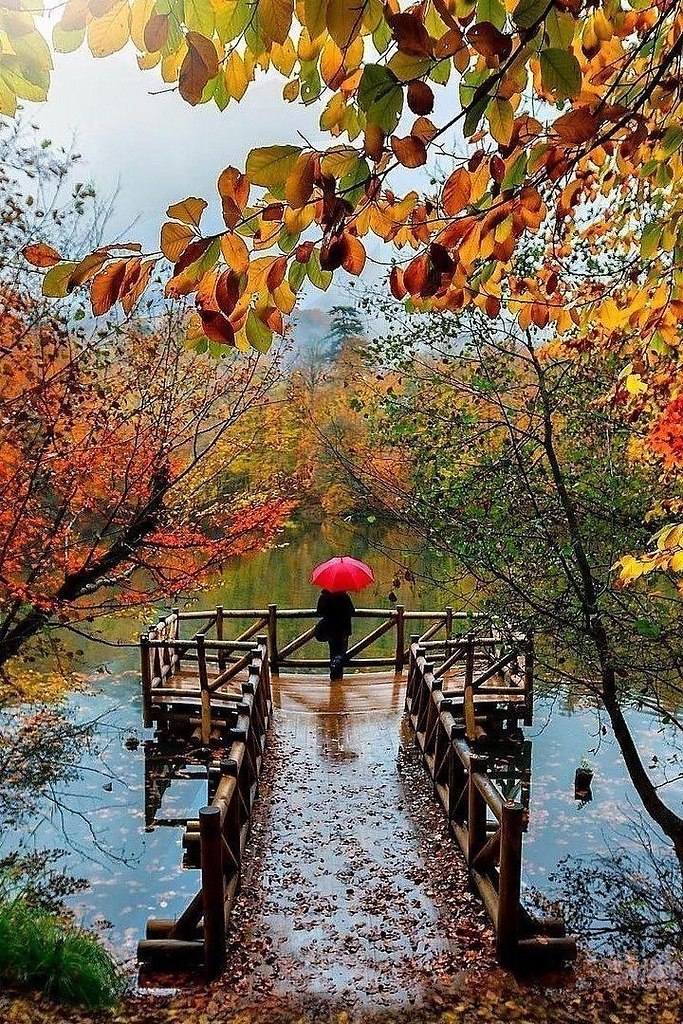 Мы любим тех, кто нас не любит, Мы губим тех, кто в нас влюблён. Мы ненавидим, но целуем, Мы не ...