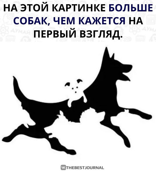     .,   , , ,  