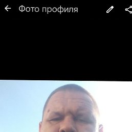 , 40, 