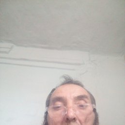 , 57, 