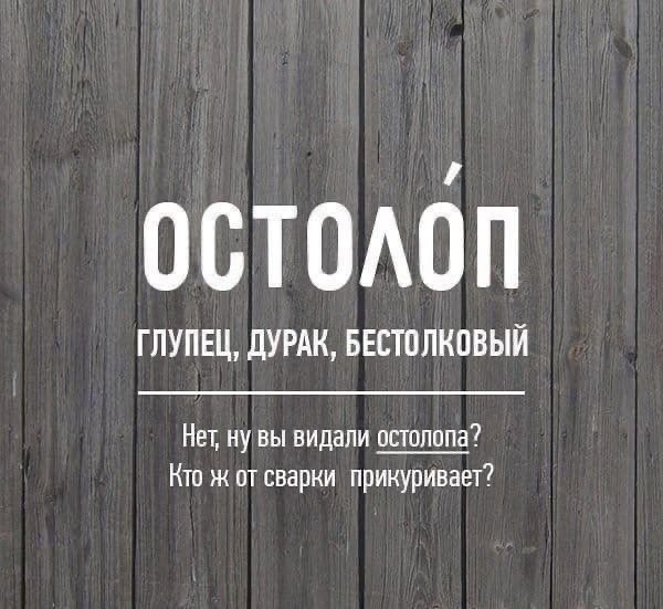 Ec y  pyc,  o epap! - 3