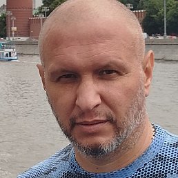 �����, �������, 46 ���