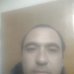 ���� �����, �����������, 44 ���� - ��������� 23 ������� 2024