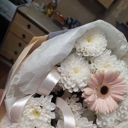 ���� I N D, �����, 42 ���� - ��������� 15 ������ 2024