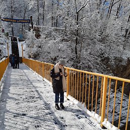 �����, ����, 65 ���