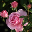 ���� D&eacute;j&agrave; Vu, ������ - ��������� 2 ������� 2025