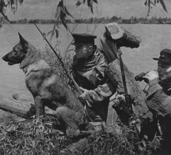 :) «Остановись и поклонись. Тут в июле 1941 года поднялись в последнюю атаку на врага бойцы ... - 2