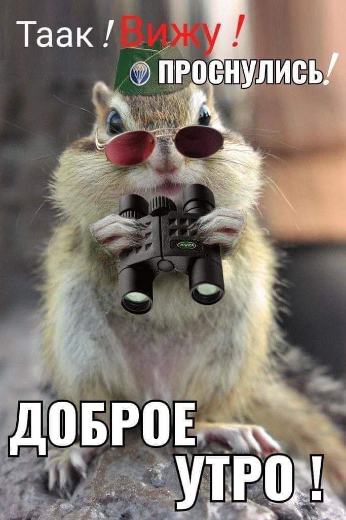 10 . .  !  ,        ,   ...