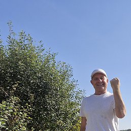 ����, ������, 56 ���