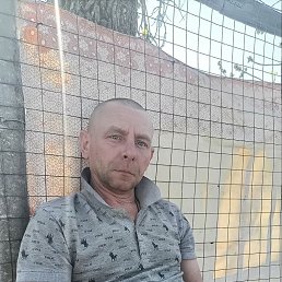 ������, 43 ����, �������