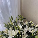 ���� ����, ������ - ��������� 7 �������� 2025 � ������ ���� ����������