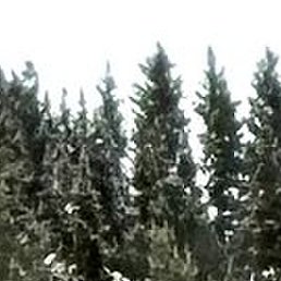 , -, 57 