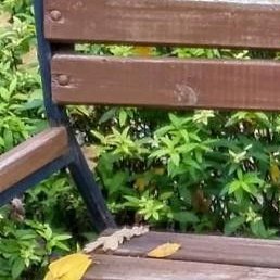 ����, ������, 49 ���