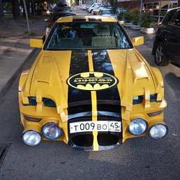 ���� �����, ����������, 50 ��� - ��������� 14 ���� 2026