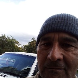 , 54 , 