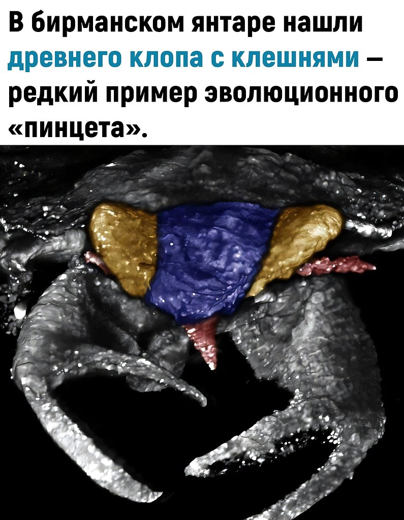 a�eo��o�o�� o��ca�� �o��� ��� ����o�o ��o�a �� �e�o�o�o �ep�o�a, ��� �epe���e �a�� �pe�pa����c� � ...