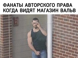 �����������