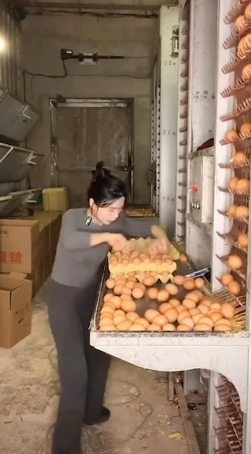  ,       ?   ,     ...