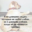 ���� Inga, ������, 52 ���� - ��������� 11 ���� 2025 � ������ ������ ��������