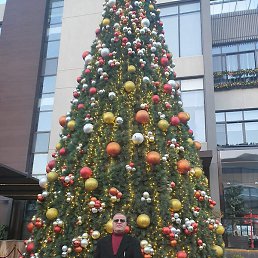 �, �����, 55 ���