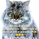 ���� ���, ��������, 42 ���� - ��������� 14 ������ 2024 � ������ ���� ����������