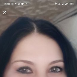 ��������, �����, 58 ���