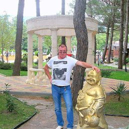 , 61, 