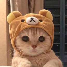 ���������, ��������, 18 ���