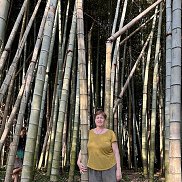 �������, 64 ����, ��������