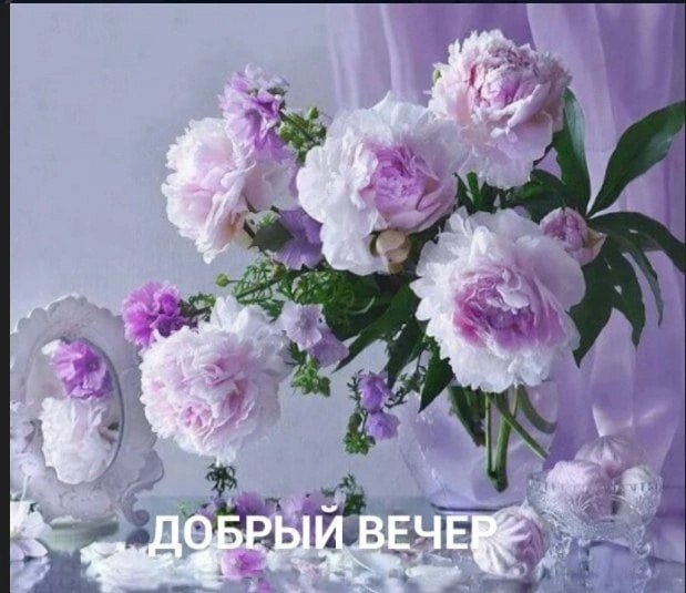   ,    . - 28  2024  18:19
