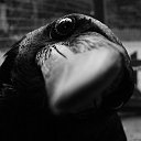���� ���������, ���� - ��������� 29 ����� 2024 � ������ ���� ����������