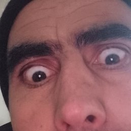 ����������, ������, 38 ���