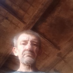 , 57, 