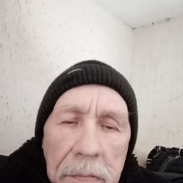 , 66, 