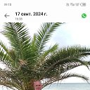 ���� ������ �����, ������, 56 ��� - ��������� 2 ��� 2025 � ������ ���� ����������