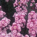 ���� ������, ����, 74 ���� - ��������� 27 ������ 2024 � ������ ���� ����������