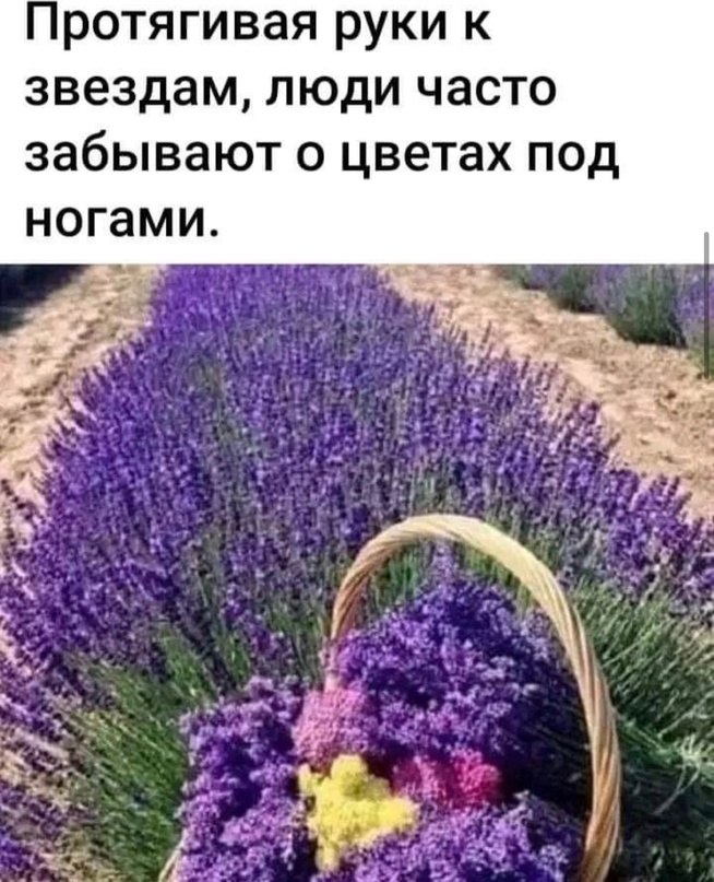   - 26  2024  09:25