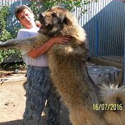 ��������, 65 ���, �����