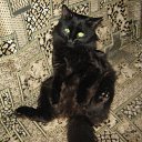 ���� �����, �������, 54 ���� - ��������� 25 ������ 2025 � ������ ������ ��������