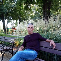 , 54, 