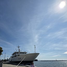 ���� ��������, ������������ - ��������� 13 ������� 2025