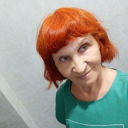 ������, �������, 65 ���