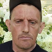 , 46 , 
